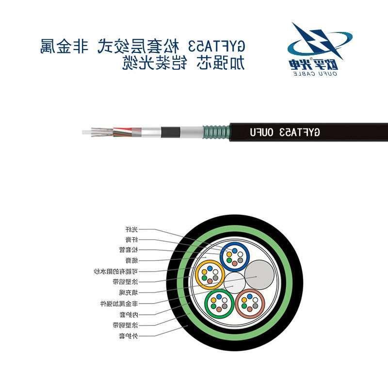 九龙坡区GYFTA53光缆