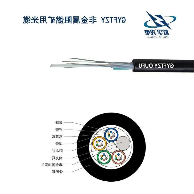 海北藏族自治州GYFTZY光缆